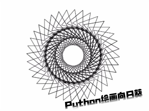 Python绘画向日葵