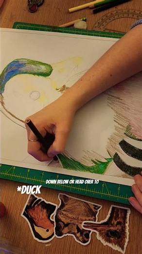 Art #art #artist #duck #drawing #sketch #makeart #artchallenge #bird #egg #usa #wildlife #discovery