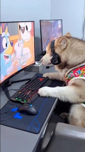 Funny dog playing PC games #shorts #youtubeshorts #trending #funnymoments