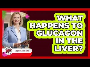 What Happens To Glucagon In The Liver?