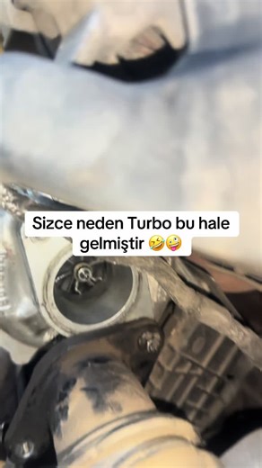 Ford Transit Turbo Performance Insights