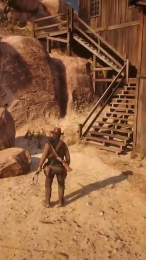 Turtle Shell Trinket Location in Red Dead Redemption 2