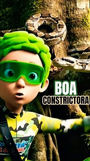 Let's discover the BOA CONSTRICTOR together