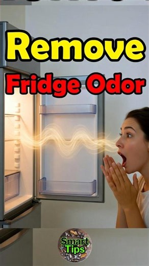 Stop Bad Smell in Your Fridge!