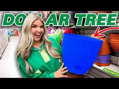 Why Everyone's OBSESSED with Dollar Tree Planters Right Now!