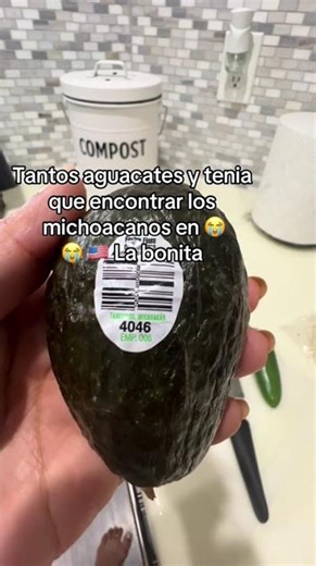 Y a un dollar cada uno #avocado #agucate #homerogomez... #Shorts #maritz988