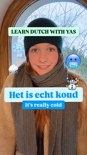 90K views · 1.1K reactions | Have you downloaded our FREE Dutch ebook already? Improve your Dutch even more with our 4 secret techniques to mastering Dutch! Reply with "ebook" and I'll send you the link! #dutch #Learndutch #dutchteacher #flemish #dutchforexpats #Belgium #Netherlands #dutchforexpats #vocabulary | Learn Dutch With Yas I Dutch A0-B1 teacher | Facebook