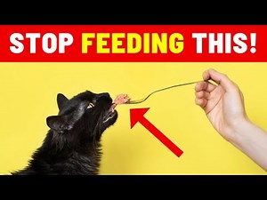 Your Cat’s Life may be at RISK: Uncover the MOST TOXIC FOODS for Cats!