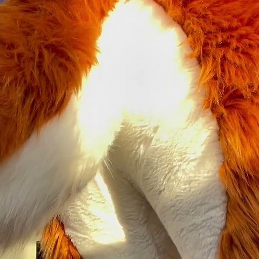 Fursuit Fart