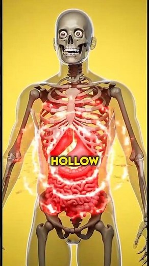 Why Your Stomach Growls When You’re Hungry