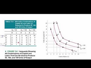 Microeconomic | The Production Process: The Behavior of Profit-Maximizing Firms | L 7