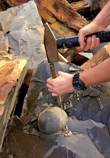 Jurassic Ammonite & Pyritized Crinoid Finds on Shale Landslide