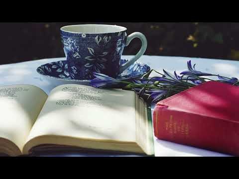 Lazy Walk - Cheel music