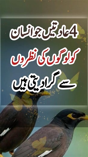 4 Habits That Make People Lose Respect for You#shortsfeed #quotes #foryou #islamicreminder #poetry