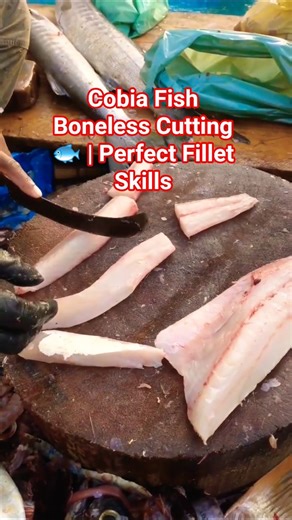 Cobia Fish Boneless Cutting 🐟 #CobiaFish #BonelessFish #FishCutting #SeafoodShorts #FilletSkills