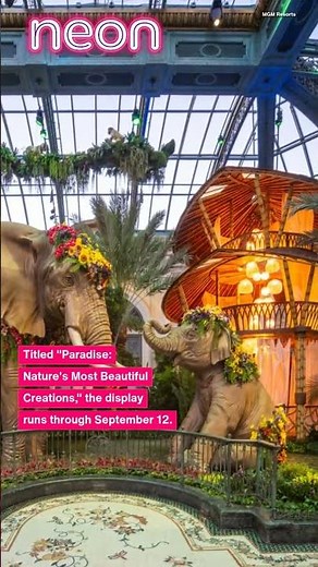 ‘Paradise’ brings the jungle to Bellagio’s conservatory