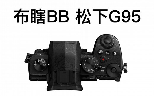 【布瞎BB】松下 G95（ft. G85）