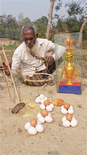 Rodent Control Using Traditional Farm Traps 03 #villagelife #rattrap #hunting