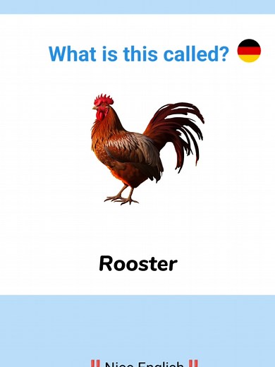 Language learning important English vocabulary✨‼️#basiclanguage #germany🇩🇪_tik_tok #Americvsjapan @SHINE English