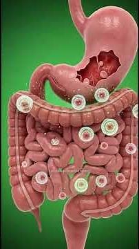 Ciprofloxacin: Mechanism, Benefits & Risks (Quick Medical Guide)Untitled 1