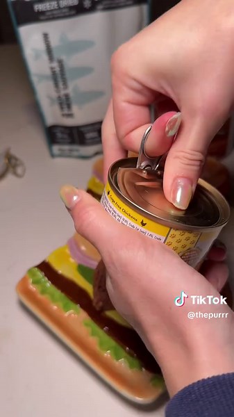 Effective Cat Feeding Tips for Happy Cats