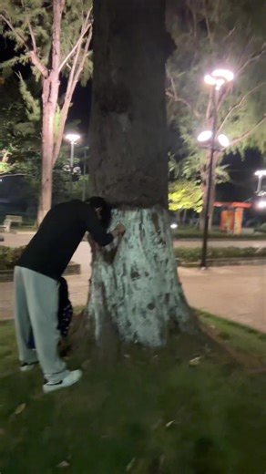 Understanding the Fish Kiss Phenomenon