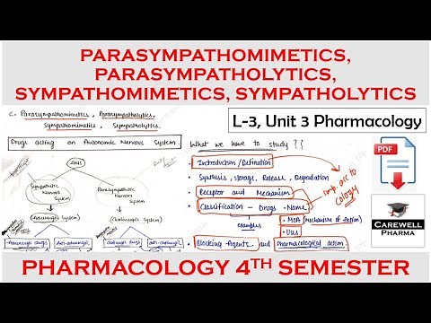 parasympathomimetics parasympatholytics sympathomimetics sympatholytics | L-3, Unit 3 Pharmacology 1