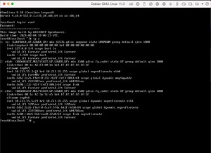利用可显进度的一键DD脚本inst.sh重装linux为almalinux cloudimage(支持所有主流linux qcow2 cloudimages)