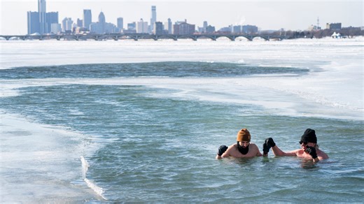 Michiganders take a plunge at Belle Isle in freezing temperatures