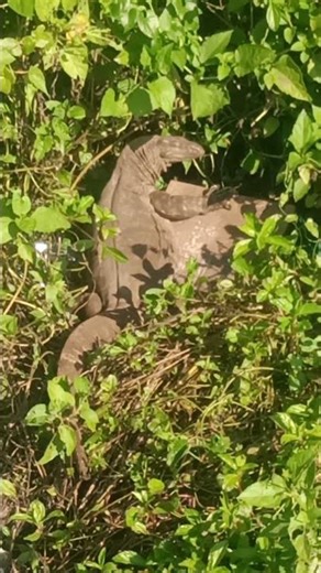 Sun Ka Rosni Garam Body 👌#viral #new #shorts