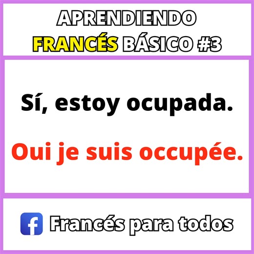 Aprendiendo Francés Básico | Parte 3 | | Idiomas para todos