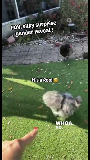 Meanwhile o’er here 😒🫶🏼🧚🏼‍♂️