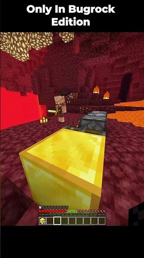 Minecraft Bugrock Moment 💀