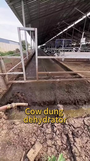 Manure Separator,the cattyle manure dewatering machine reduces moisture content by40-60%,uses screw extrusion to remove water from fresh cow dung #manureseparator #cowdungdehydrator #solidliquidseparator #slurry #cattlefarm
