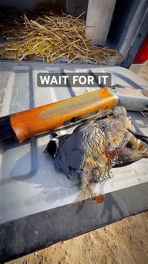 That Pause Before the Flush… #shorts