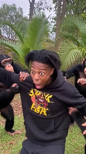 #shorts #ishowspeed funny shorts speed get trolled by chimpanzees 😅😂speed so scary#viral short