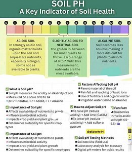5.7K views · 47 reactions | Soil pH | Chemistry Help | Facebook
