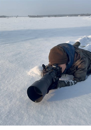 Capturing the Majestic European Bison