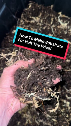 How i make all of my substrate for my geckos! 🦎 #reptilesoftiktok #substrate #bioactiveenclosure #reptiletips #reptileenclosure