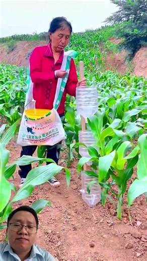 Bà lam lũ #works #farming #viral #satisfying #shortvideo #shorts #short #automobile