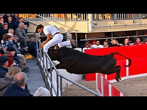 UNBELIEVABLE: People Taking Gores from Angry Bulls... Shocking Scenes!