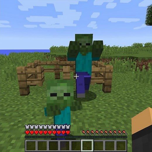 You Can Make Your Armor Invisible