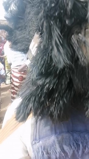 #culturesenoufo #senoufo #peuplesenoufo🇨🇮