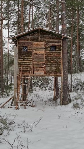 Cooking food at the treehouse #bushcraft #camp #camping #wildlife #outdoor #survival #campinglife #caveman #primitive #primitiveskills #knowledge #primitive_technology #wildernessskills #wilderness #lifehacks #reelsusa #fyp #foryou #outdoorcooking | Bushcraft Life