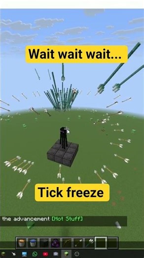Minecraft Tick freeze command #minecraft #shortsfeed #shorts #tiktok #tiktoktrend