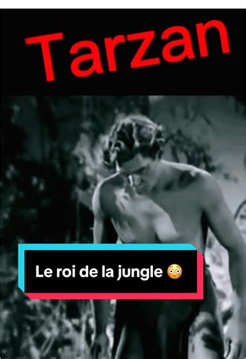 Tarzan, le roi de la jungle : une aventure inoubliable