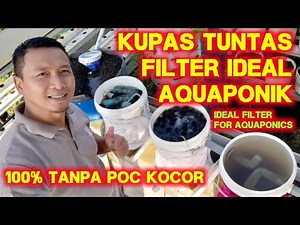 Filter Ideal untuk Aquaponics