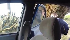 3.2K views · 177 reactions | Jonny getting on the bus! Nibbles waddles off my lap to try to go with Jonny, and gets his diaper snagged on a water bottle! I laugh at him, he gives me stink eye! LOLLOL | The Adventures of Jonny and Nibbles | Facebook