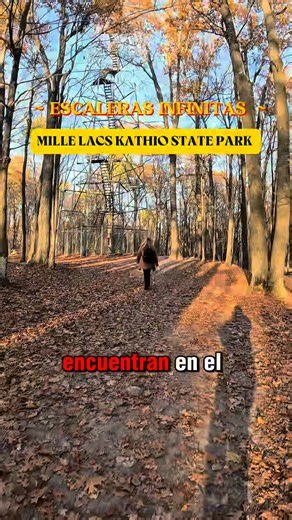 LA MAGIA DEL OTOÑO EN LAS ALTURAS . Visita Mille Lacs Kathio State Park , MN #Minnesota #millelacs #Kathiostatepark #Minnesota #MNSur #park #senderos | Yesenia Farias