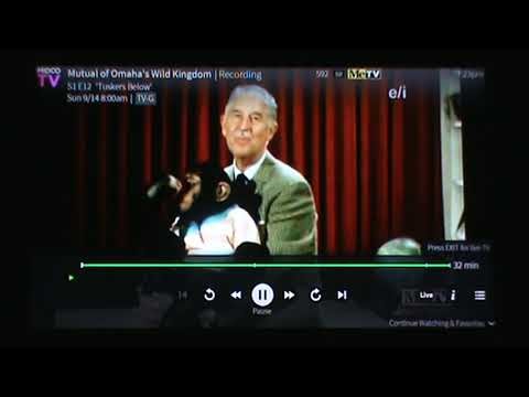 CMGUS DVR FUN REMOTE CONTROL CLICK CLIP 2025 09 14 ME TV MUTUAL OMAHA WILD KINGDOM WK CHEETAH MARLIN